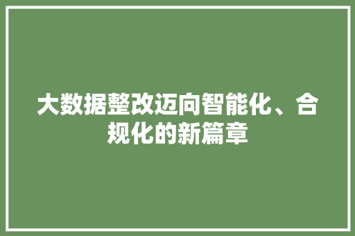 大数据整改迈向智能化、合规化的新篇章