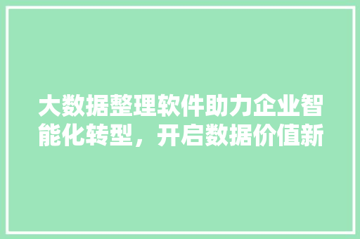 大数据整理软件助力企业智能化转型，开启数据价值新时代