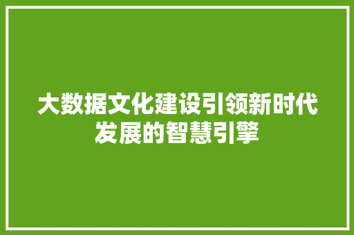 大数据文化建设引领新时代发展的智慧引擎
