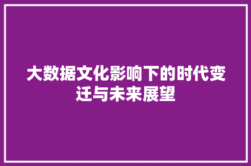 大数据文化影响下的时代变迁与未来展望