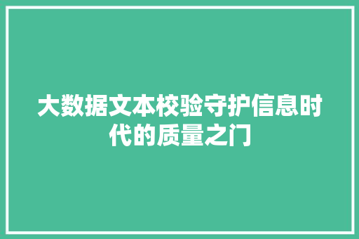 大数据文本校验守护信息时代的质量之门