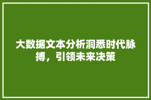 大数据文本分析洞悉时代脉搏，引领未来决策
