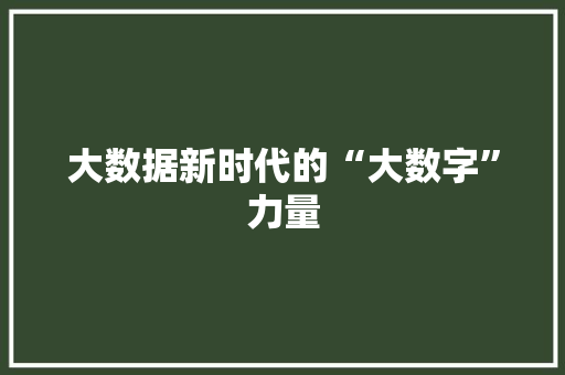 大数据新时代的“大数字”力量