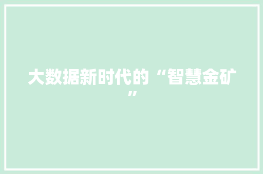 大数据新时代的“智慧金矿”