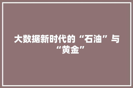 大数据新时代的“石油”与“黄金”