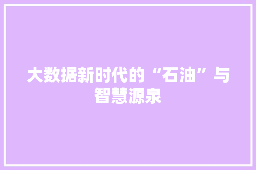大数据新时代的“石油”与智慧源泉