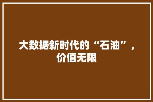 大数据新时代的“石油”，价值无限
