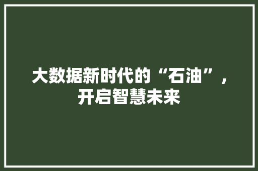 大数据新时代的“石油”，开启智慧未来