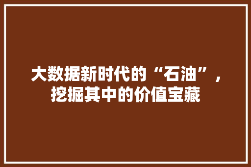 大数据新时代的“石油”，挖掘其中的价值宝藏