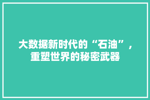 大数据新时代的“石油”，重塑世界的秘密武器