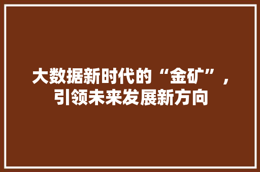 大数据新时代的“金矿”，引领未来发展新方向