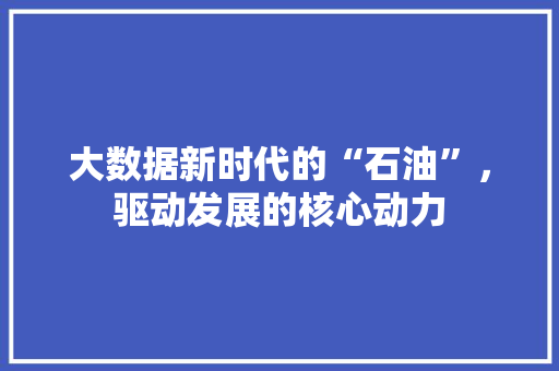 大数据新时代的“石油”，驱动发展的核心动力
