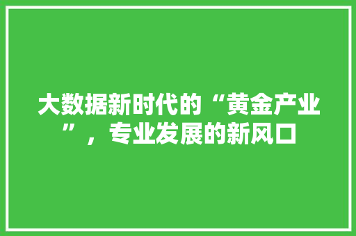大数据新时代的“黄金产业”，专业发展的新风口