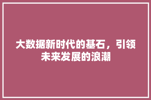 大数据新时代的基石，引领未来发展的浪潮
