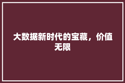 大数据新时代的宝藏，价值无限