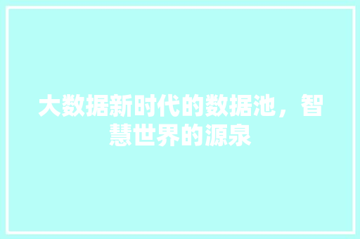 大数据新时代的数据池，智慧世界的源泉