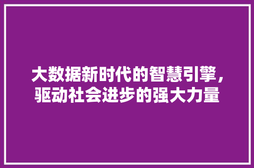 大数据新时代的智慧引擎，驱动社会进步的强大力量