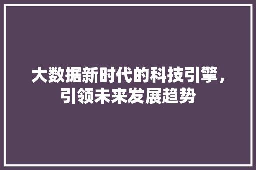 大数据新时代的科技引擎，引领未来发展趋势