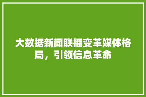 大数据新闻联播变革媒体格局，引领信息革命