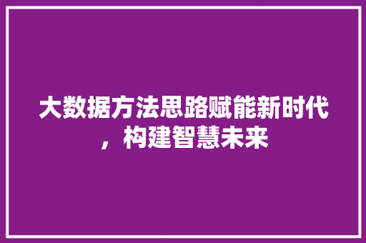 大数据方法思路赋能新时代，构建智慧未来