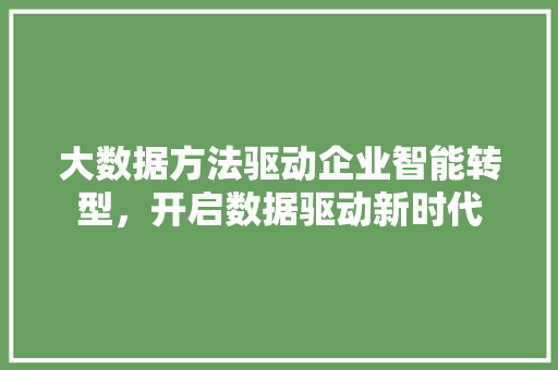 大数据方法驱动企业智能转型，开启数据驱动新时代