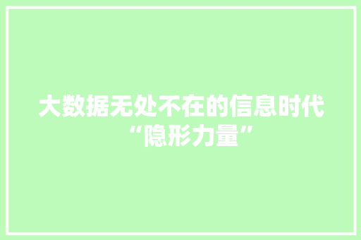 大数据无处不在的信息时代“隐形力量”
