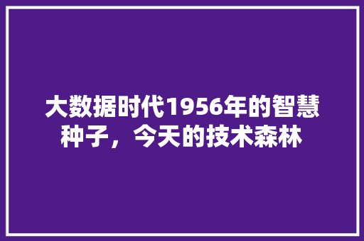 大数据时代1956年的智慧种子，今天的技术森林