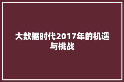 大数据时代2017年的机遇与挑战