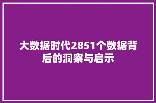 大数据时代2851个数据背后的洞察与启示