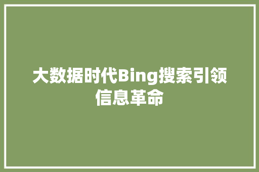 大数据时代Bing搜索引领信息革命