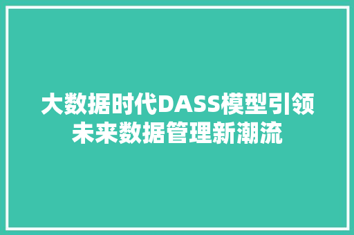 大数据时代DASS模型引领未来数据管理新潮流