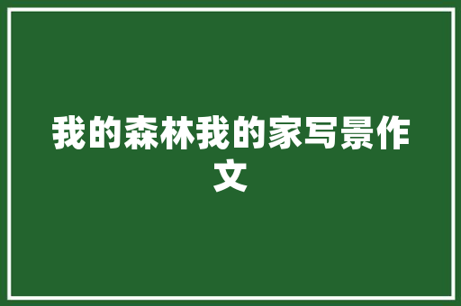 自媒体时代，如何打造一个独具特色的网站