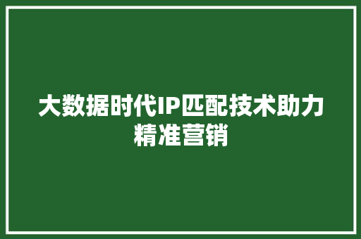 大数据时代IP匹配技术助力精准营销