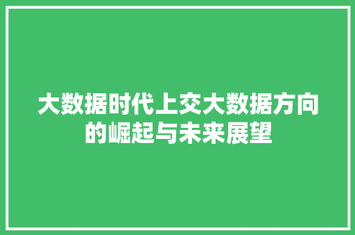 大数据时代上交大数据方向的崛起与未来展望