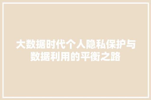 大数据时代个人隐私保护与数据利用的平衡之路