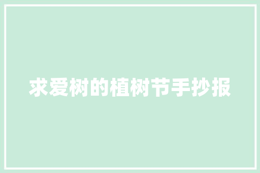 航空网站设计,打造空中旅行的数字化门户