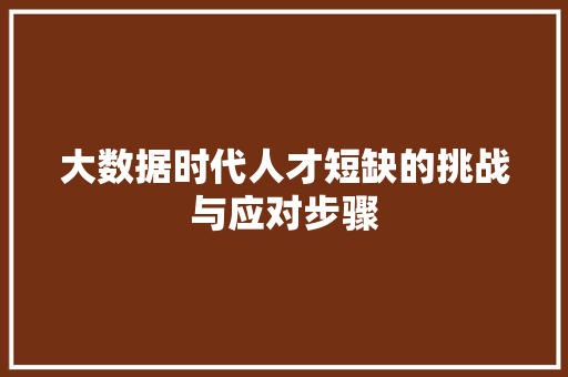 大数据时代人才短缺的挑战与应对步骤