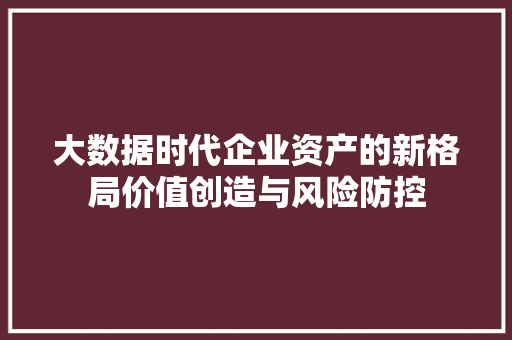 大数据时代企业资产的新格局价值创造与风险防控
