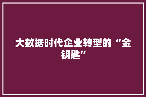 大数据时代企业转型的“金钥匙”