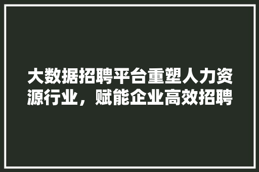大数据招聘平台重塑人力资源行业，赋能企业高效招聘