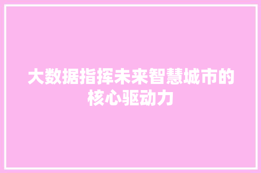 大数据指挥未来智慧城市的核心驱动力