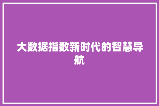 大数据指数新时代的智慧导航