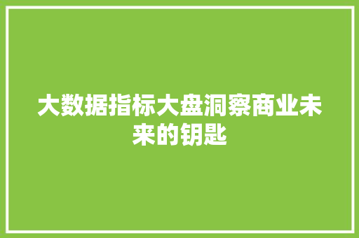 大数据指标大盘洞察商业未来的钥匙