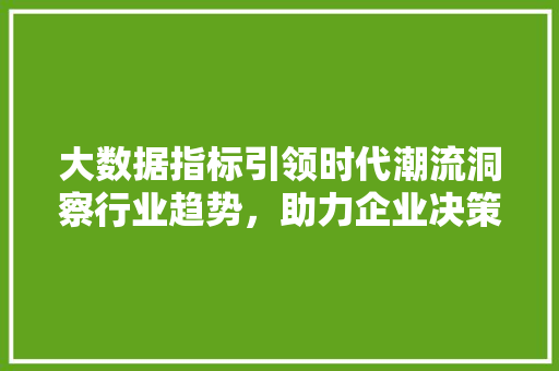 大数据指标引领时代潮流洞察行业趋势，助力企业决策
