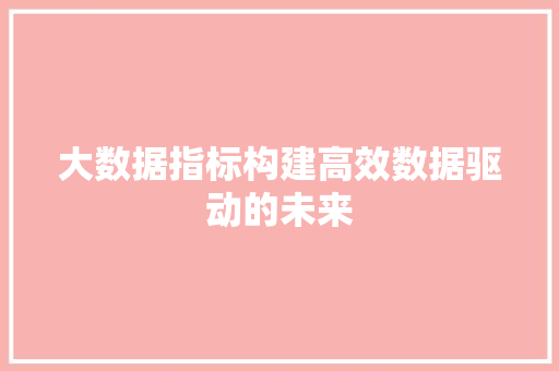 大数据指标构建高效数据驱动的未来