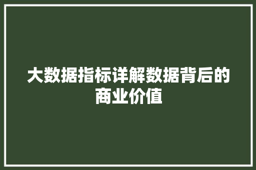大数据指标详解数据背后的商业价值