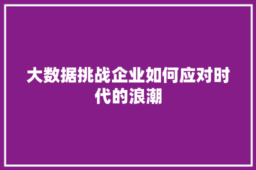 大数据挑战企业如何应对时代的浪潮