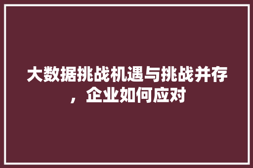 大数据挑战机遇与挑战并存，企业如何应对