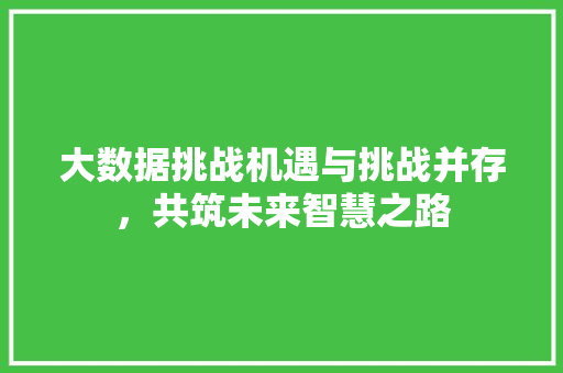 大数据挑战机遇与挑战并存，共筑未来智慧之路