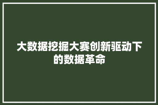 大数据挖掘大赛创新驱动下的数据革命